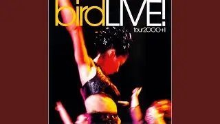 Sorano Hitomi (Live)