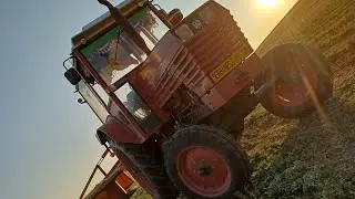 La cosit a II-a coasă de lucernă!A ieșit ceva?🤔🤔+Cum arată măturile!😮😮