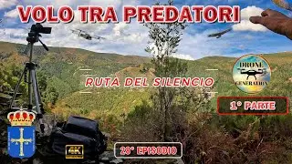 🧐Video Completo Nel Mio Canale @DroneGeneration #dronegeneration #drone #mini2 #dji #ambientdrone