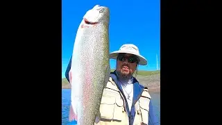 BIG FAT TROUT FISHING LOS VAQUEROS CALIFORNIA NOT SALMON HUGE RAINBOW POT O GOLD MAXIMUS ADVENTURE