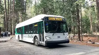 New Flyer Xcelsiors With Yosemite Views