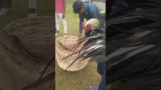 #black fighter murga #short video #viralvideo #viral