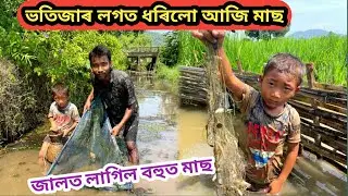 ভতিজাৰ লগত ধৰিলো আজি মাছ !! জালত লাগিল বহুত মাছ 😍