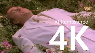 Peter Gabriel - Digging in the Dirt (4K AI Remastered)