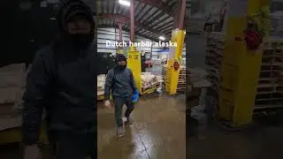 staking cases #alaska #beringsea #longlinefishing #offloading