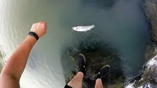 Trout Fishing: Lower Illinois River