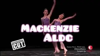 Open Intro for Maddie's Bee's Competition