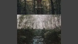 Earth Vibrations