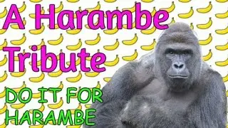 A Harambe Tribute | Oh My Chincha Fan Service