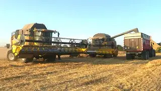 🇫🇷 XXL MOISSON / ETA TOUCHET / New Holland / Massey Ferguson / Renault