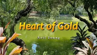 HEART OF GOLD - (Karaoke Version) - in the style of Neil Young