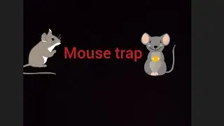 Home made mouse trap