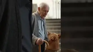 Dog Supports an Elderly Man&mdash;Prevents a Stairway Fall | Explained