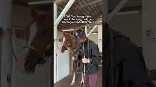 Tack troubles: 1, Me: 0 😫 #equestrian #horse #pony #rider #horses #horseriding #riding #ride