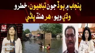 Flood Devastation in Punjab | India Releases Water | Climate Change Impact |Analysis Room |Awaz News