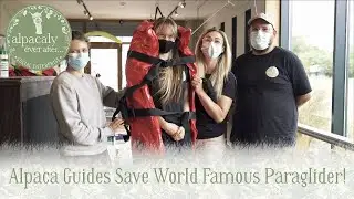 World Famous Paraglider Rescued By Alpaca Walking Guides!! Maximum Drama!! 😬