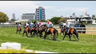 【GOLD-COAST】AUSTRALIAN HORSE RACE ANALYSIS - CHECK OUT BEST OF THE DAY TOO!!