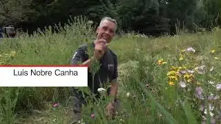 Biodiversiteit is &oacute;veral te cre&euml;ren!