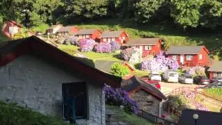 Little Orchard Village