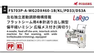 9.10_FS703P-A-WG2DX460-1B/KL/PD33/DS3A