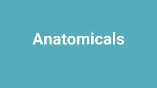 'Anatomicals' Meaning and Pronunciation