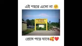 new shairi