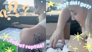 Unboxing my SECRET new reptile