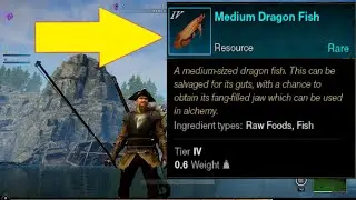 Hotspot Hunt TUTORIAL, New World MMORPG HELP AND GUIDE!! New amazon MMORPG!