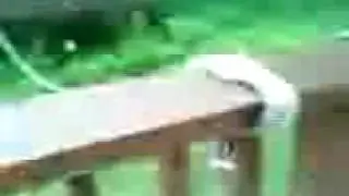 Airsoft Grenade in Action