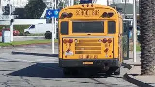 Candid shots of school buses at Aquarium of the Pacific in Long Beach, California January 30, 2023