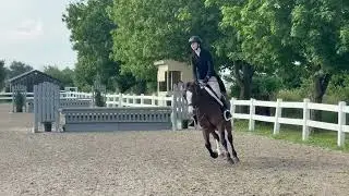 IMG 0803