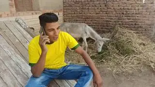 بالو طلق سمر والسبب سمير وعصام