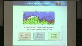Prof. Ana-Sunčana Smith | Membrane dynamics