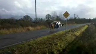 Maddie#1