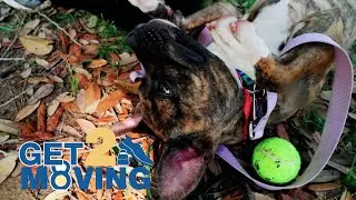 Get 2 Moving: Companion Animal Alliance