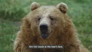 How to Use Bear Spray