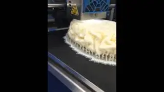 3D printing a brain.