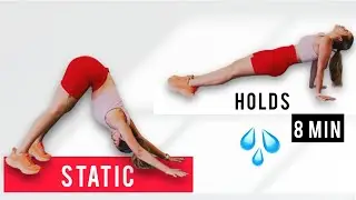 8 Minute | Tabata | STATIC HOLDS | Isometric Exercises at home to build lean muscle