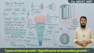 Significance of secondary growth | types of plant growth | secondary growth in plants