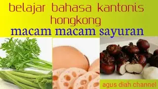 belajar bahasa kantonis macam macam sayuran#bahasakantonis@Agus diah channel
