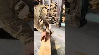 Amazing two cricket bat 🏏 #wood #machine #wood #woodcutting #woodscraft #machine #reels #usa #uk 