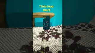 Time loop video #loop video tutorial #looped video #time loop movie #trapped in time loop