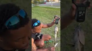 @DaRealHookSetter  Snagging them up left and right #fishing #bassfishing