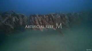 [UW Videography] Artificial Reef M l M 어초 l 남애스쿠버리조트 l YangYang Scubadiving l 양양 l 동해다이빙
