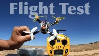 KINGKONG 136mm FPV EGG RC Racing Drone Flight Test