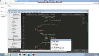 13 - Using codeigniter "set_value()"