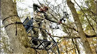 Best Climbing Tree Stand in 2024 | Top 5 Most Comfortable Climbing Tree Stands