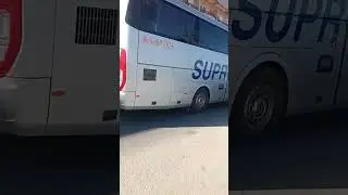 حافلة سبراتور 🌴🌞
