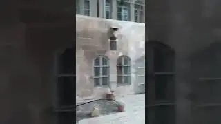 الزاوية الهلالية حلب