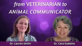 From Veterinarian to Animal Communicator - Lauren's Story.
